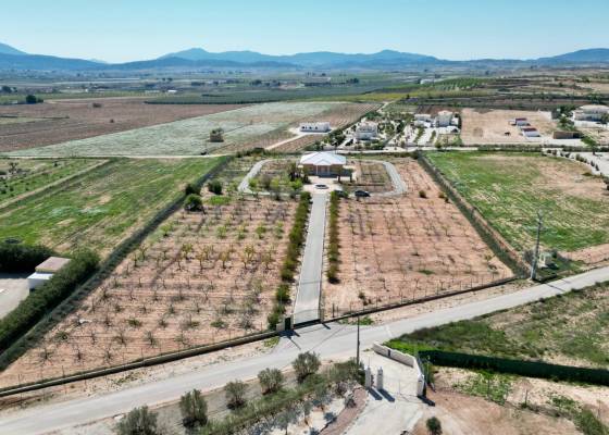 5. Finca / Country Property - Resale - Pinoso - Pinoso