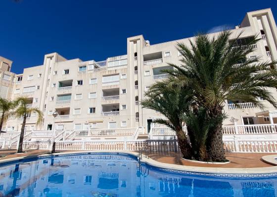 Appartement - Wederverkoop - Guardamar del Segura - El Eden