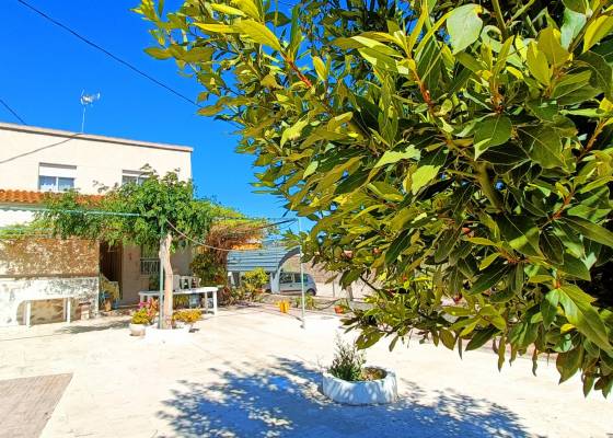 Casa de campo - Venta - Hondón de los Frailes - AM-HFTRIN