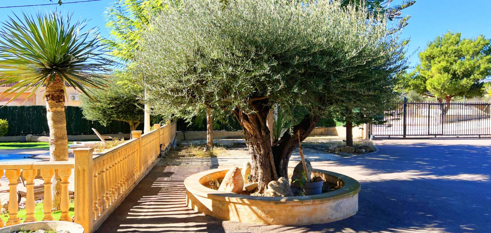 chalet met olijfbomen