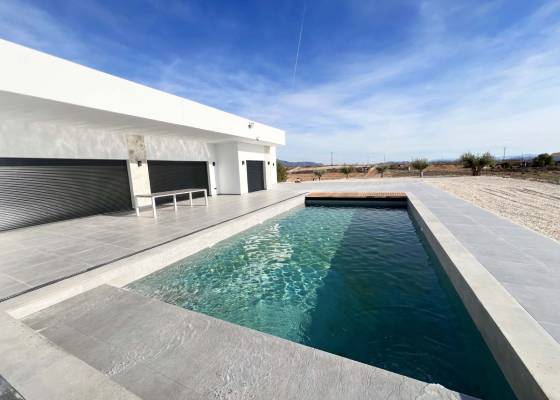 Chalet - Nueva construcción  - Novelda - AM-VILLASUNSET-NOV