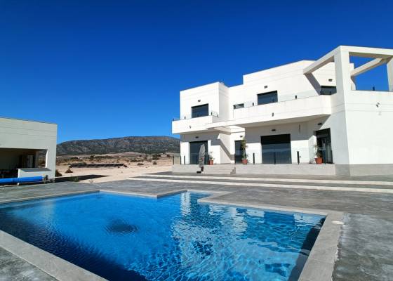 Chalet - Nueva construcción  - Pinoso - AM-PINUBE