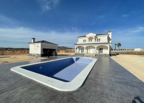 Chalet - Nueva construcción  - Pinoso - AM-PNLCY163