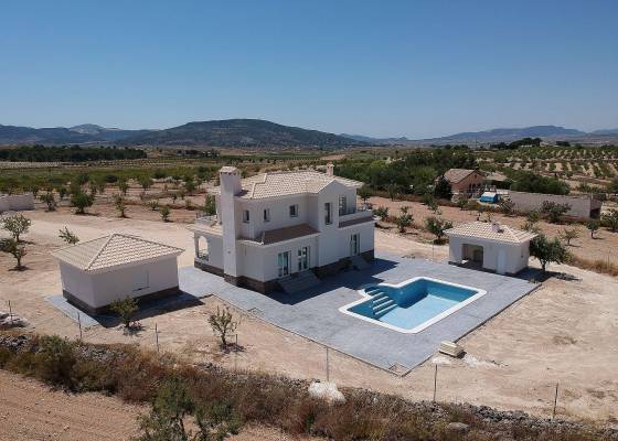 Chalet - Nueva construcción  - Pinoso - Pinoso