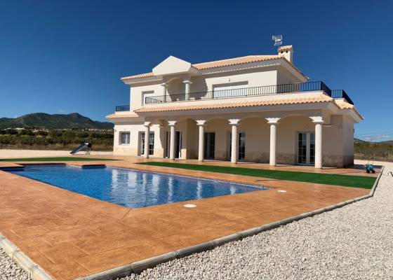 Chalet - Nueva construcción  - Pinoso - Pinoso