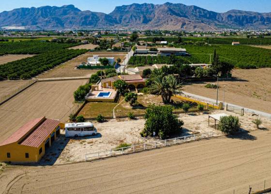 Chalet - Venta - Orihuela - Orihuela