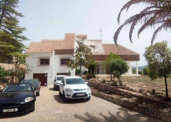 Comercial - Venta - Ayora - Ayora