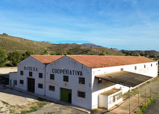 Commercieel - Wederverkoop - Hondón de los Fráiles - AM-BODEGA