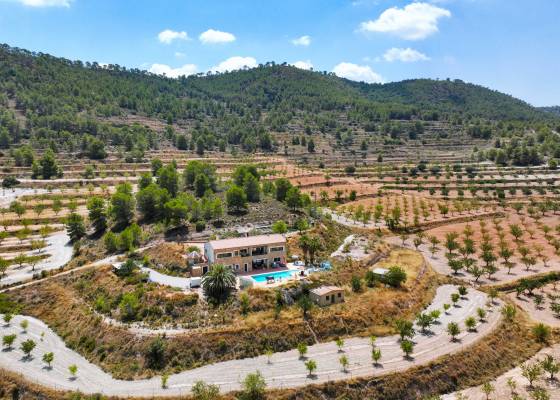 Country home - Resale - Pinoso - Pinoso