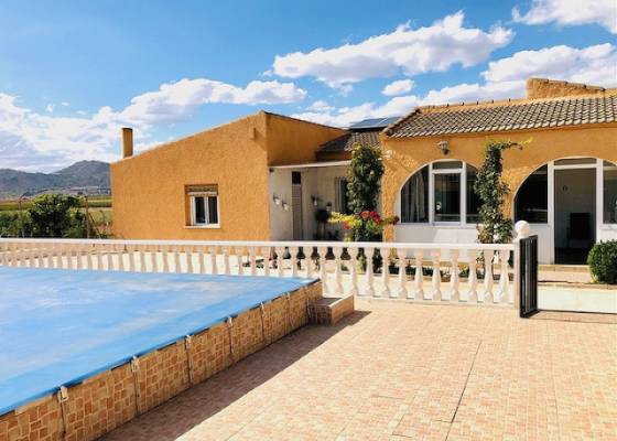Country home - Resale - Yecla - Yecla