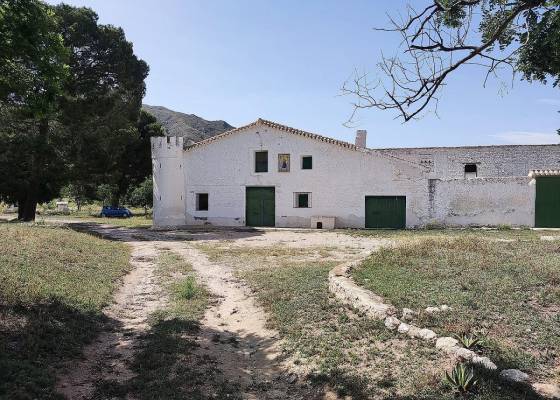 Country home - Resale - Yecla - Yecla