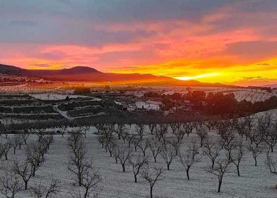 Country house - Revente - La Zarza - La Zarza