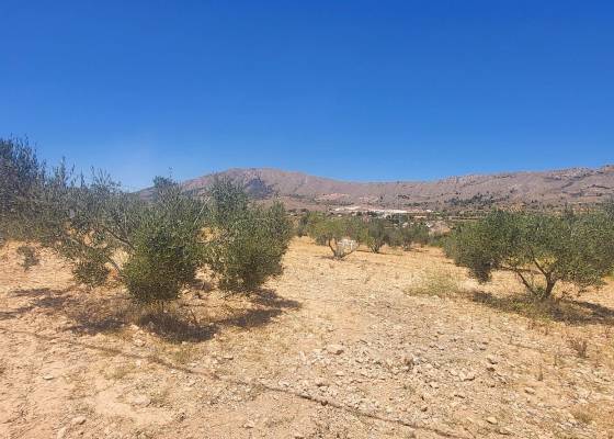 Country house - Venta - La Romana - La Romana