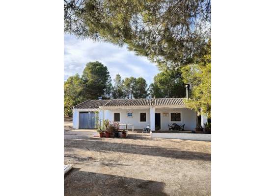 Country house - Venta - Yecla - Yecla