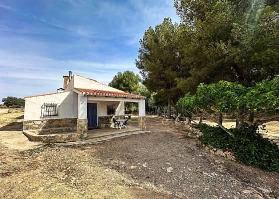 Country house - Wederverkoop - Almansa - Almansa