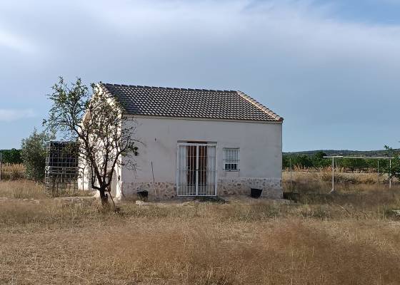 Country house - Wederverkoop - Yecla - Yecla