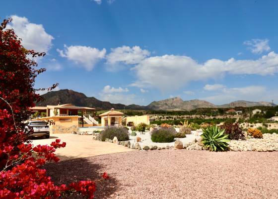 Country Property - Revente - Albatera - Albatera