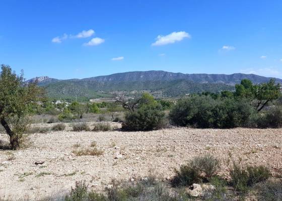 Detached villa - New Build - Monovar - LYD-67925