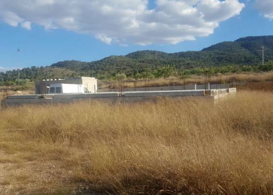 Detached villa - Nueva construcción  - Monovar - LYD-17232