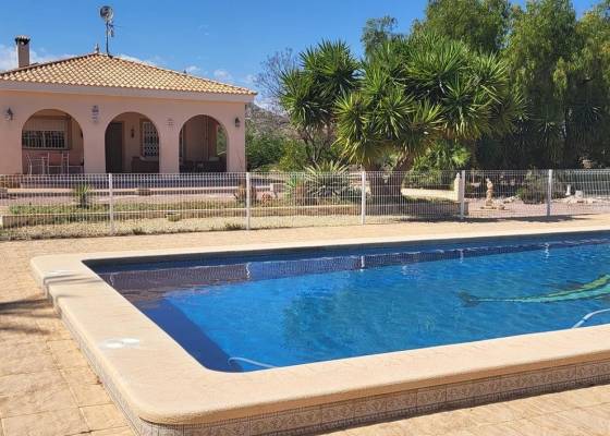 Detached villa - Resale - Aspe - Aspe