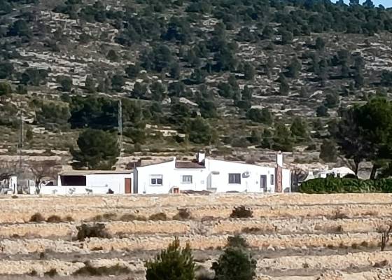 Equestrian property - Revente - Monovar - Monovar