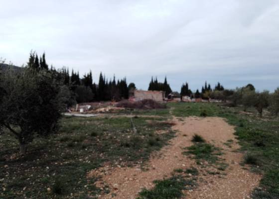 Finca / Country Property - Resale - Caudete - Caudete