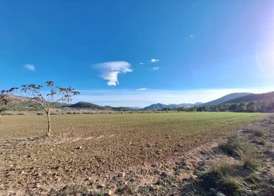 Grond - Resale - Monovar - Monovar