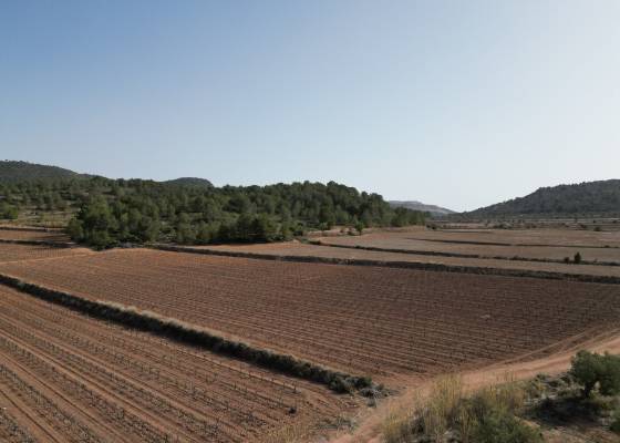 Grond - Resale - Pinoso - IK-39681