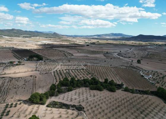 Grond - Resale - Pinoso - Pinoso