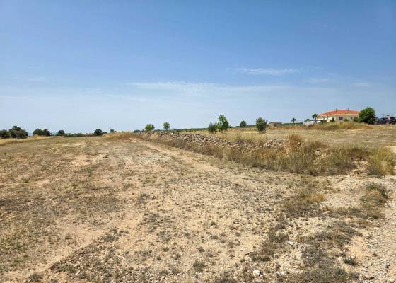 Grond - Resale - Pinoso - Pinoso