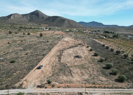 Grond - Revente - Hondón de los Frailes - Hondon De Los Frailes