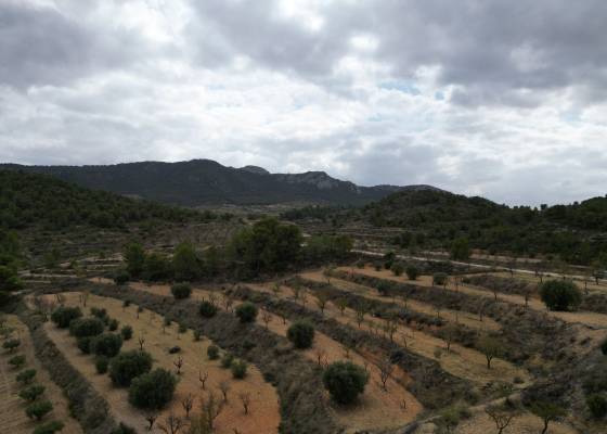 Grond - Revente - La Zarza - La Zarza