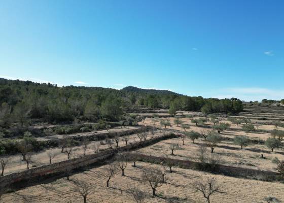 Grond - Revente - Monovar - Monovar