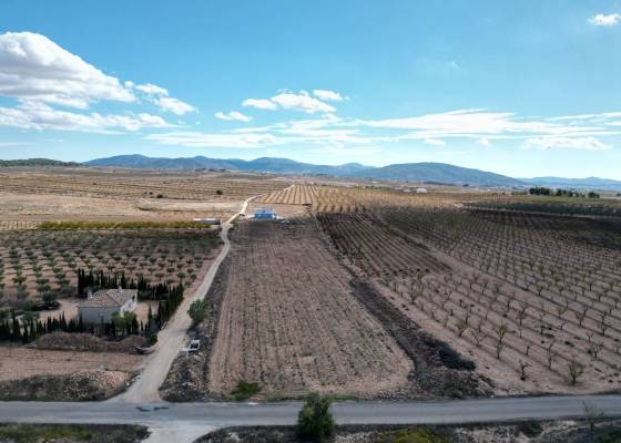 Grond - Revente - Pinoso  - Lel