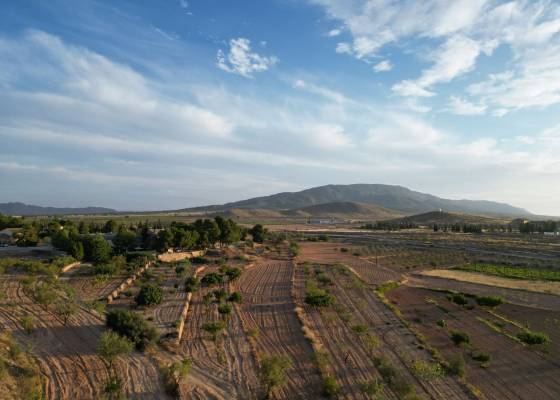 Grond - Revente - Pinoso  - Pinoso