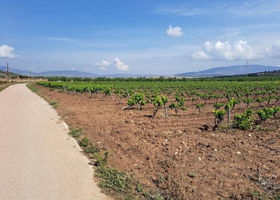 Grond - Revente - Pinoso  - Pinoso