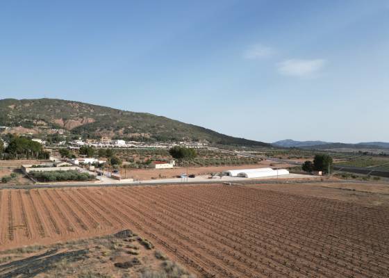 Grond - Venta - Pinoso - Pinoso