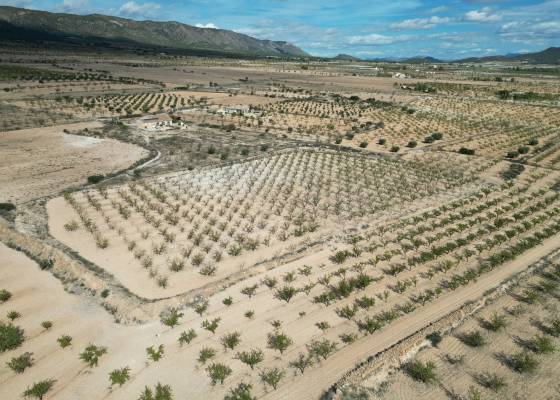 Grond - Wederverkoop - Pinoso - Pinoso