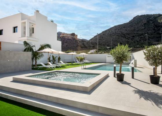 Herenhuizen - Nieuw gebouw - Cox - Cox