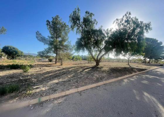 Land - Nueva construcción  - Ubeda - Ubeda