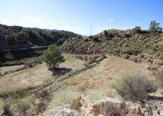 Land - Resale - Abanilla - Abanilla