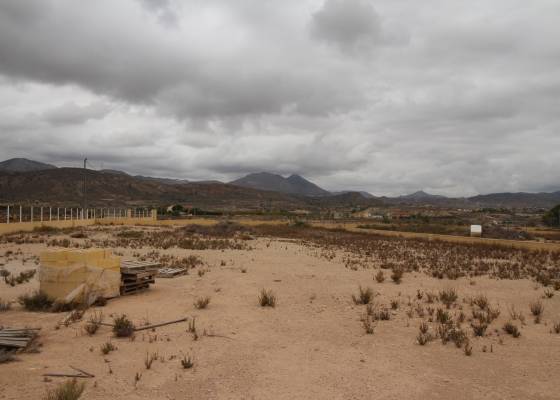 Land - Resale - Abanilla - ET-94241