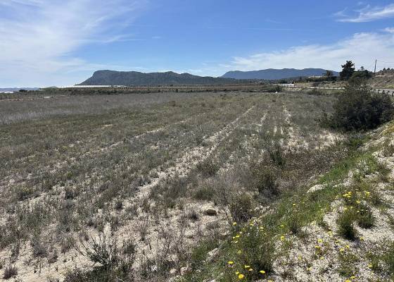 Land - Resale - Hondón de las Nieves - Hondón de las Nieves