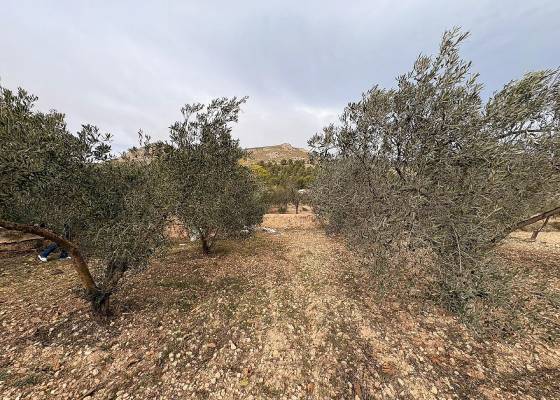 Land - Resale - Onil - Onil