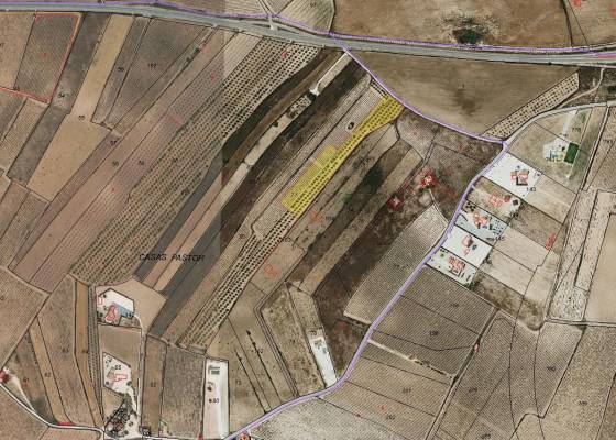 Land - Resale - Pinoso - Pinoso
