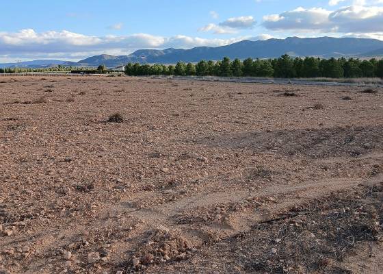 Land - Resale - Yecla - ADH-78656