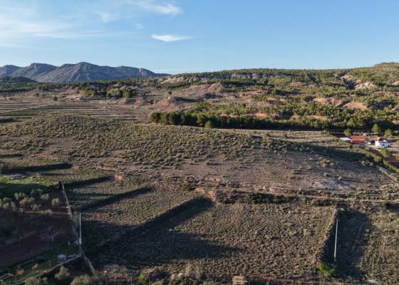 Land - Resale - Yecla - Yecla