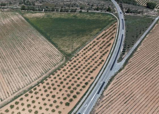 Land - Resale - Yecla - Yecla