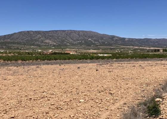 Land - Revente - Pinoso  - ET-63827