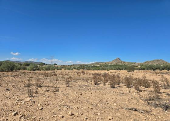 Land - Revente - Salinas - Salinas